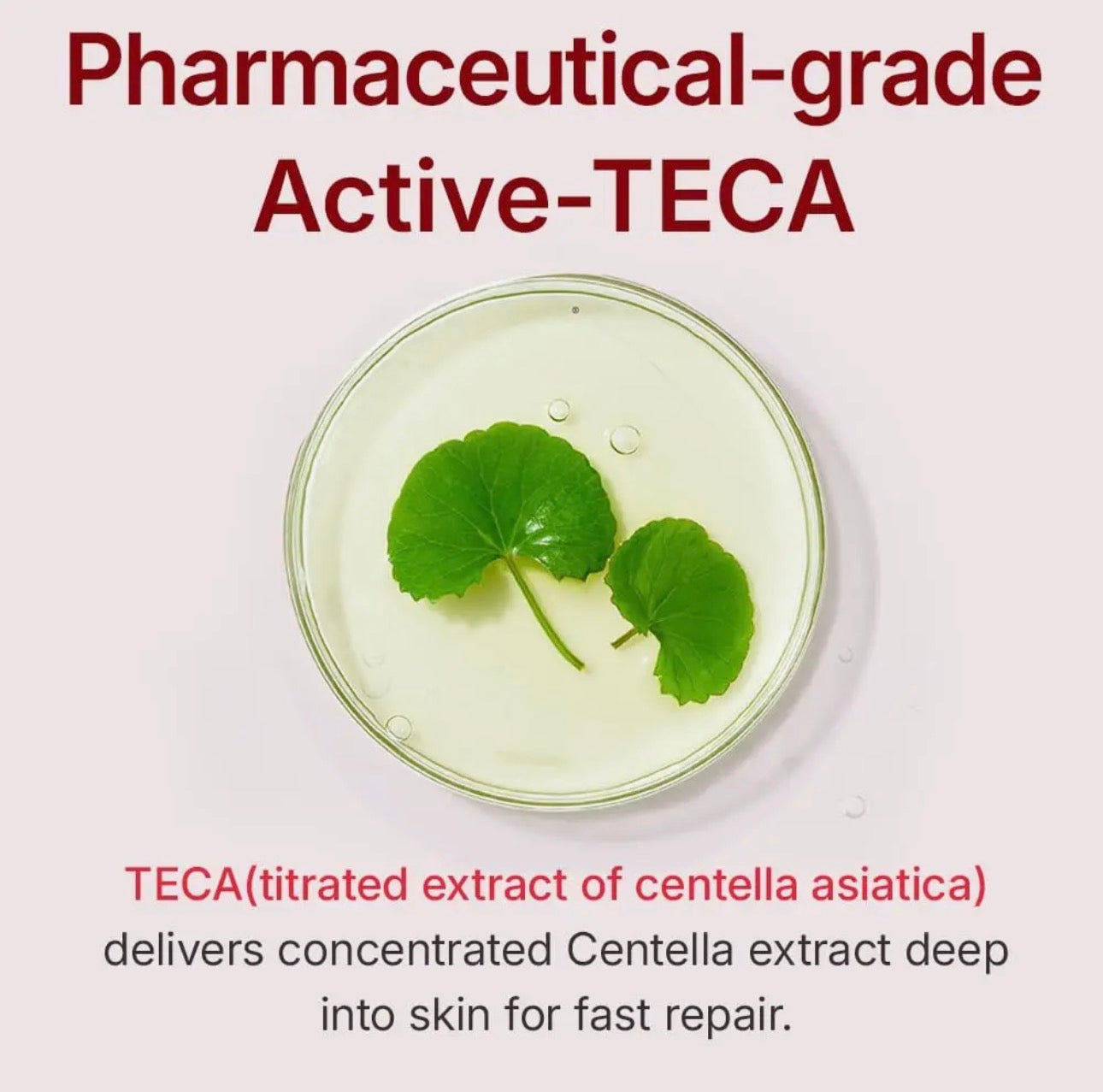 Centellian 24 Madeca Cream Time Reverse, Anti-Aging Korean Cream with Teca & Collagen